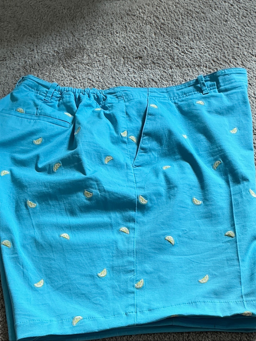 Lands' End Turquoise Embroidered Lemon Skort